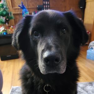 Meet your Posher, Brenda